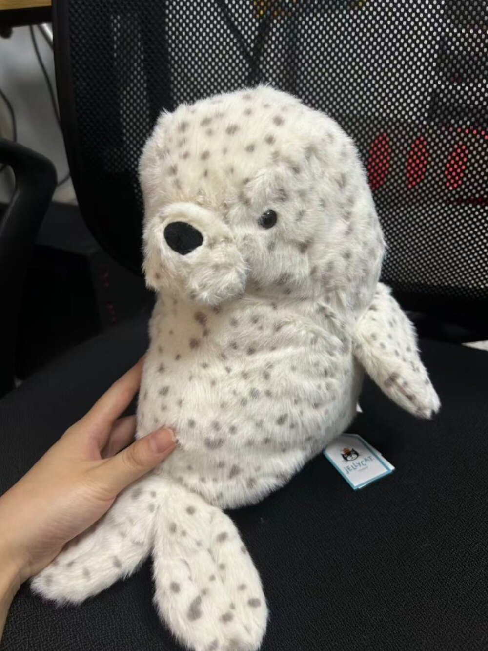 Jellycat Galumphous Seal with DUST BAG + Tag Protector